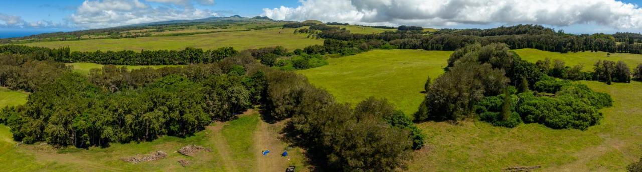 A Cozy Cabin In The Country Hawi Exterior photo