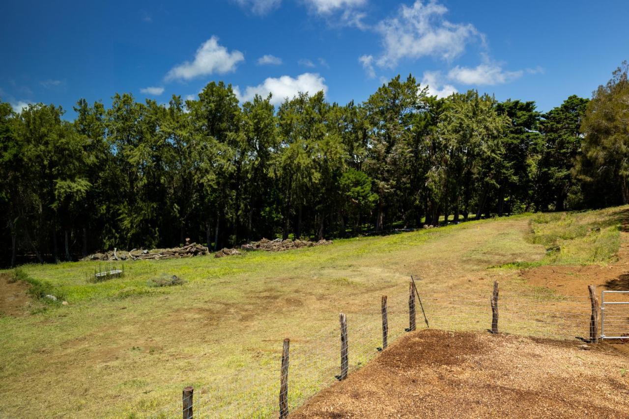 A Cozy Cabin In The Country Hawi Exterior photo