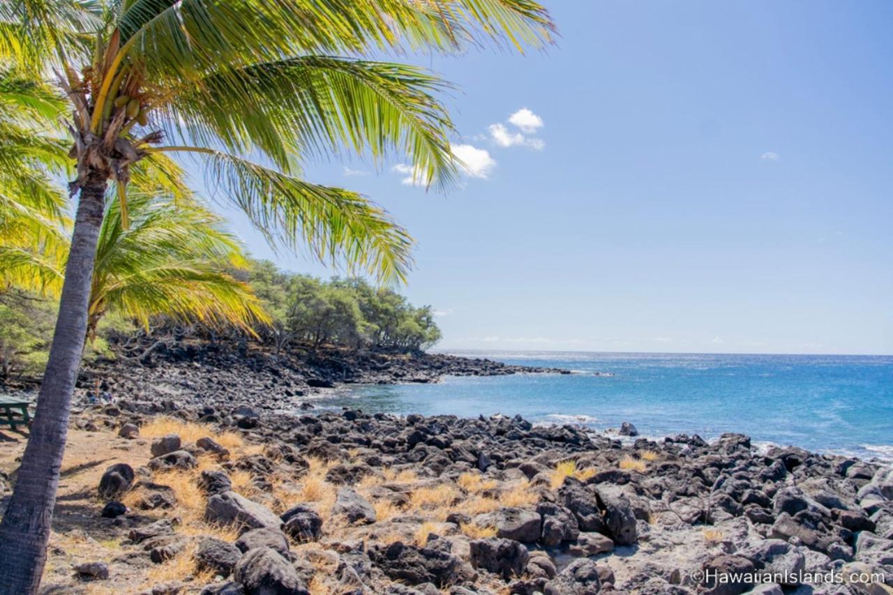 A Cozy Cabin In The Country Hawi Exterior photo